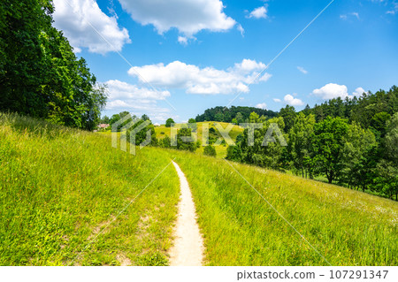 Narrow rural pathway in hilly landscape with lush green meadows on sunny summer day. 107291347