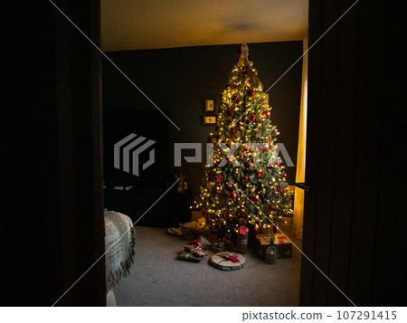 A beautiful Christmas tree decorating the living room in a middle class home A beautiful Christmas tree decorating the living room in a middle class home 107291415