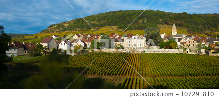 Houses and nature of Saint-Aubin is a village, Burgundy located in France 107291810