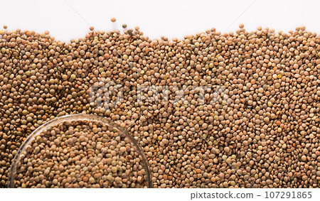 Lentil grains on white background Lentil grains on white background 107291865