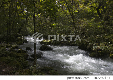 Beautiful view of Oirase Stream, Towada City, Aomori Prefecture Beautiful view of Oirase Stream, Towada City, Aomori Prefecture 107292184