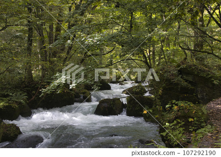 青森縣十和田市奧入瀨溪流的美景 青森縣十和田市奧入瀨溪流的美景 107292190