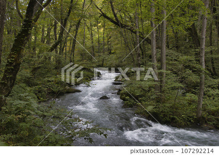 青森縣十和田市奧入瀨溪流的美景 青森縣十和田市奧入瀨溪流的美景 107292214