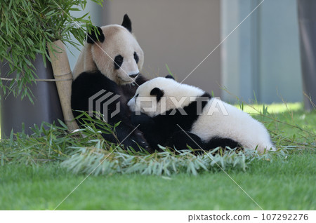 Yoshihama Mama Giving Breasts to Yuhama 107292276