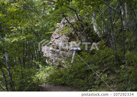 Eboshi Rock, Minenoura/Tarumi Ruins, Yamagata City, Yamagata Prefecture Eboshi Rock, Minenoura/Tarumi Ruins, Yamagata City, Yamagata Prefecture 107292334