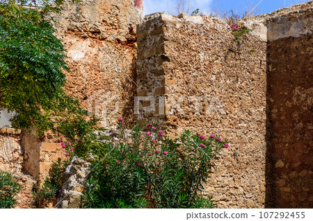 oleander in front of old, stone wall in Chania, Crete. 107292455