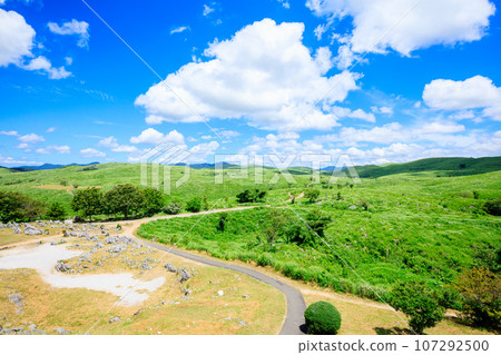 Akiyoshidai in summer Mine City, Yamaguchi Prefecture Akiyoshidai in summer Mine City, Yamaguchi Prefecture 107292500