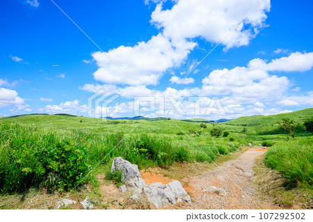 Akiyoshidai in summer Mine City, Yamaguchi Prefecture Akiyoshidai in summer Mine City, Yamaguchi Prefecture 107292502