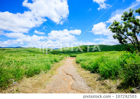 Akiyoshidai in summer Mine City, Yamaguchi Prefecture Akiyoshidai in summer Mine City, Yamaguchi Prefecture 107292503