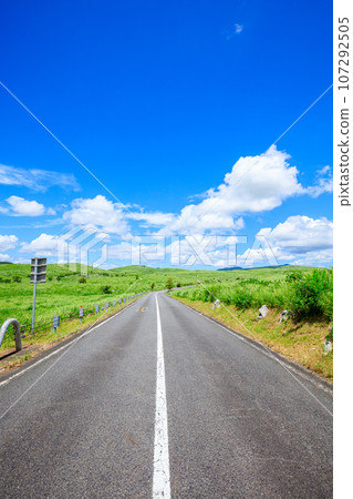 Akiyoshidai in summer Mine City, Yamaguchi Prefecture 107292505