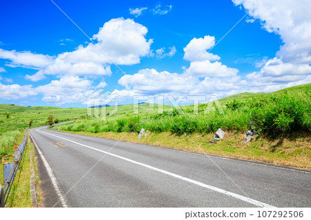 Akiyoshidai in summer Mine City, Yamaguchi Prefecture 107292506