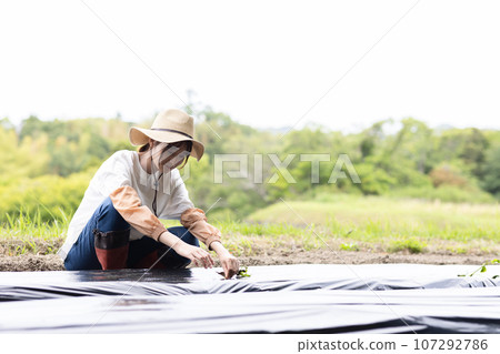 在外地工作的年輕女子 107292786