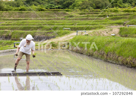 Two young people planting rice 107292846