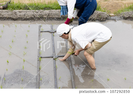 Two young people planting rice 107292850