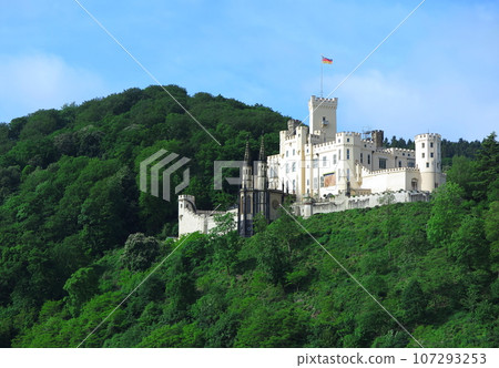 From the sightseeing boat going down the Rhine: Stolzenfels Castle (diagonal direction) against the green mountain surface 107293253