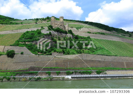 從萊茵河上的觀光船出發:山坡上殘留的埃倫費爾斯城堡遺址 從萊茵河上的觀光船出發:山坡上殘留的埃倫費爾斯城堡遺址 107293306