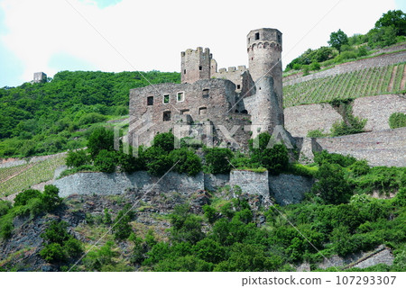 從萊茵河上的觀光船出發:山坡上殘留的埃倫費爾斯城堡遺址 從萊茵河上的觀光船出發:山坡上殘留的埃倫費爾斯城堡遺址 107293307
