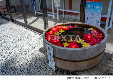 Water fortune slips from Risshakuji Temple, commonly known as Yamadera, Yamagata City, Yamagata Prefecture 107293396
