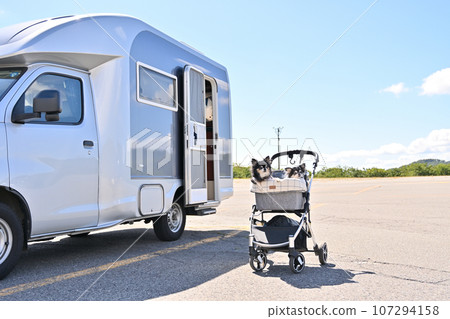 Autumn camper trip: Two Chihuahuas walking in a dog cart 107294158