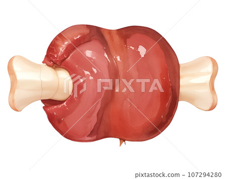 Manga meat “AI generated image” 107294280