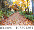 Road where fallen leaves are piled up 107294864