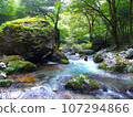 Deep mountain valley with beautiful fresh greenery 107294866