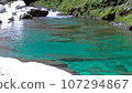 Crystal Rose in the Yasui Valley 107294867