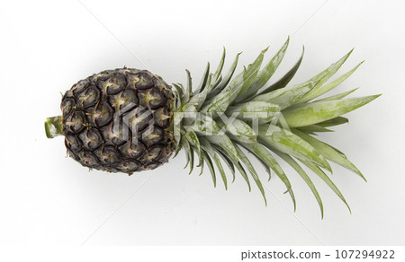 Vegetarian and vegan healthy lifestyle concept. Raw vegetables and fruits with empty plate over rustic background Vegetarian and vegan healthy lifestyle concept. Raw vegetables and fruits with empty plate over rustic background 107294922