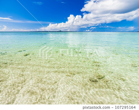 [Summer] White sand and blue sea beach Okinawa 107295164