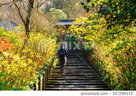 Autumn Kamakura Meigetsuin Autumn Kamakura Meigetsuin 107296318