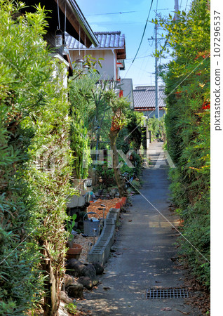 Back alley scenery of fisherman town 107296537