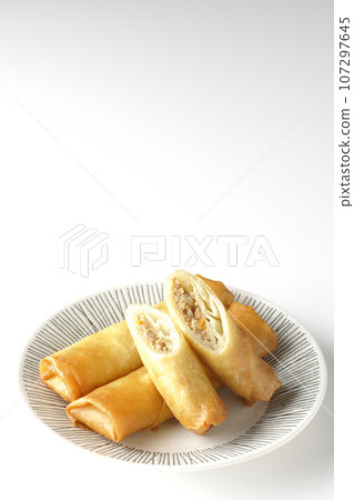 在白色背景下拍攝的一種點心春捲 在白色背景下拍攝的一種點心春捲 107297645