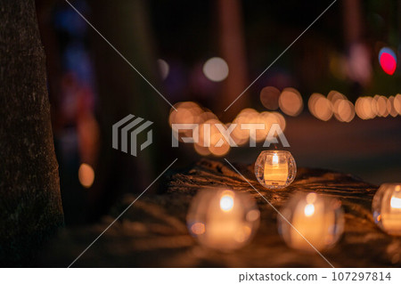 [Okayama Prefecture] Nishikawa Candle Night 14 107297814