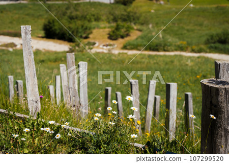 Consolidation of escarps with palisades Consolidation of escarps with palisades 107299520