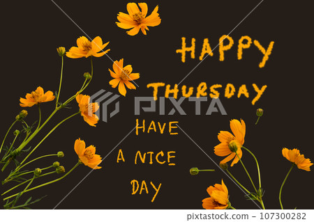 happy thursday have a nice day message card handwriting with orange flowers cosmos happy thursday have a nice day message card handwriting with orange flowers cosmos 107300282