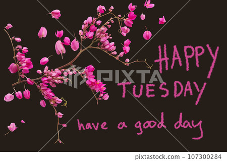 happy tuesday have a good day message card hand writing with pink little flowers  107300284