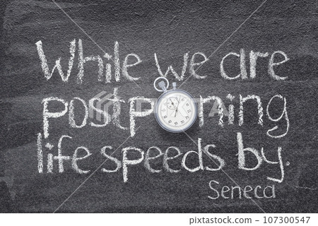 life speeds by Seneca life speeds by Seneca 107300547