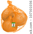 onion  107301036