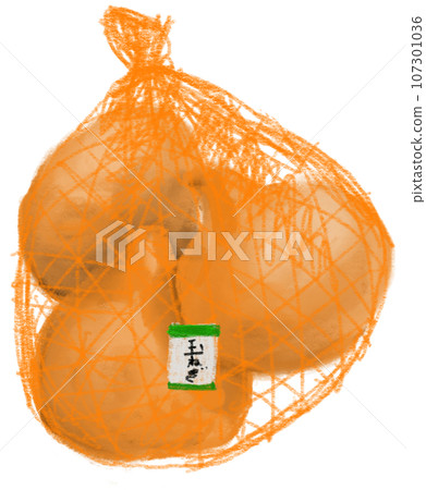 onion onion 107301036