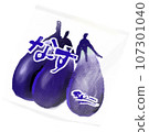 Eggplant 107301040