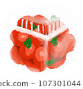  Mini Tomato 107301044