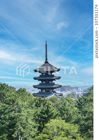 興福寺五層塔 興福寺五層塔 107301174