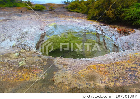 懷奧塔普地熱仙境火山口 懷奧塔普地熱仙境火山口 107301397