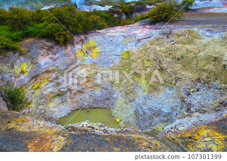 Waiotapu Thermal Wonderland Crater 107301399