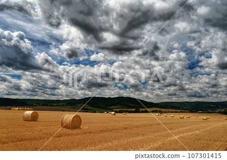 Hay bail harvesting in golden field landscape. Summer Farm Scenery with Haystack on the Background of Beautiful Sunset. Hay bail harvesting in golden field landscape. Summer Farm Scenery with Haystack on the Background of Beautiful Sunset. 107301415