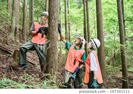 Image of male and female forest management workers, forestry, forestry officer, nature conservation officer 107301511