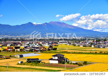佐久平站週邊，眺望淺間山（長野縣佐久市） [2023.9] 107301957