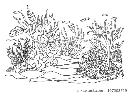 Ocean bottom coloring page with fish and algae. Sea life coloring book. 107302739