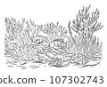 Ocean bottom coloring page with fish and algae. Sea life coloring book. 107302743