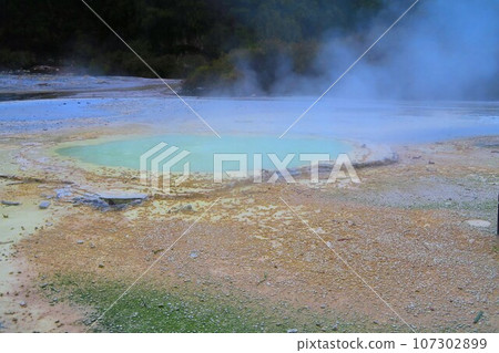Franpan Plains at Waiotapu Thermal Wonderland 107302899
